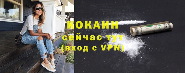 ALPHA PVP Гусев