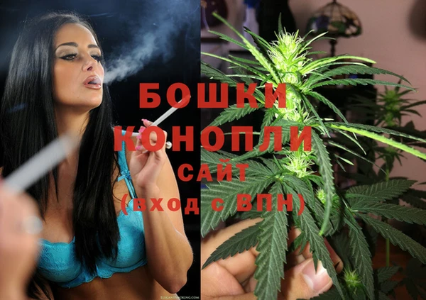 apvp Гусь-Хрустальный