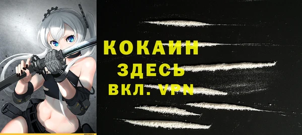 apvp Гусь-Хрустальный