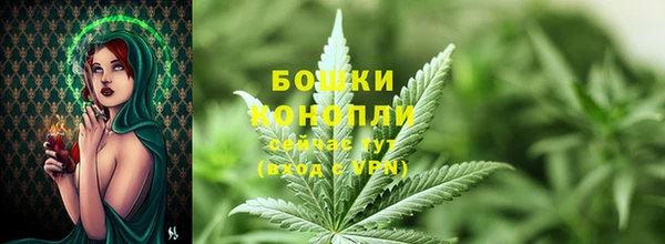 apvp Гусь-Хрустальный