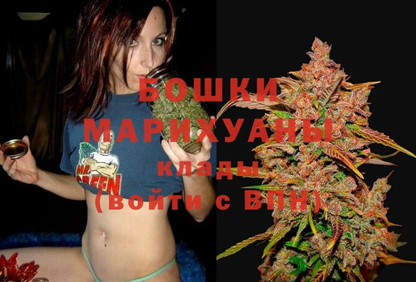 гашик Гусиноозёрск