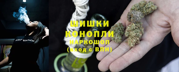 apvp Гусь-Хрустальный