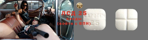PSILOCYBIN Снежинск