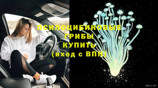 гашик Гусиноозёрск
