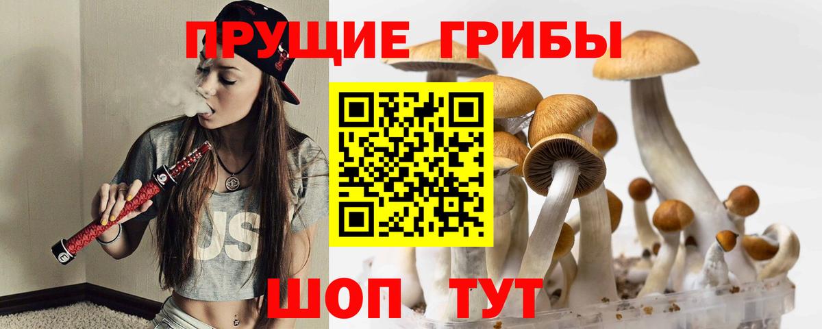 Псилоцибиновые грибы MAGIC MUSHROOMS  Галлюциногенные грибы прущие грибы  закладка  Вход с VPN  Мончегорск 